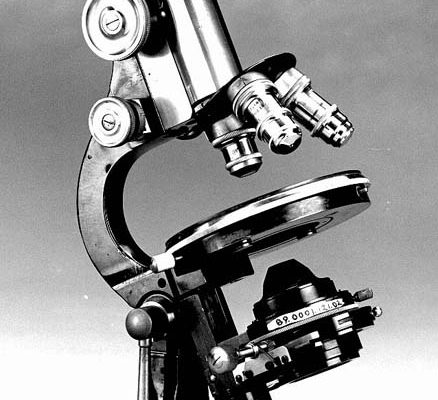 An old brass and black light microscope